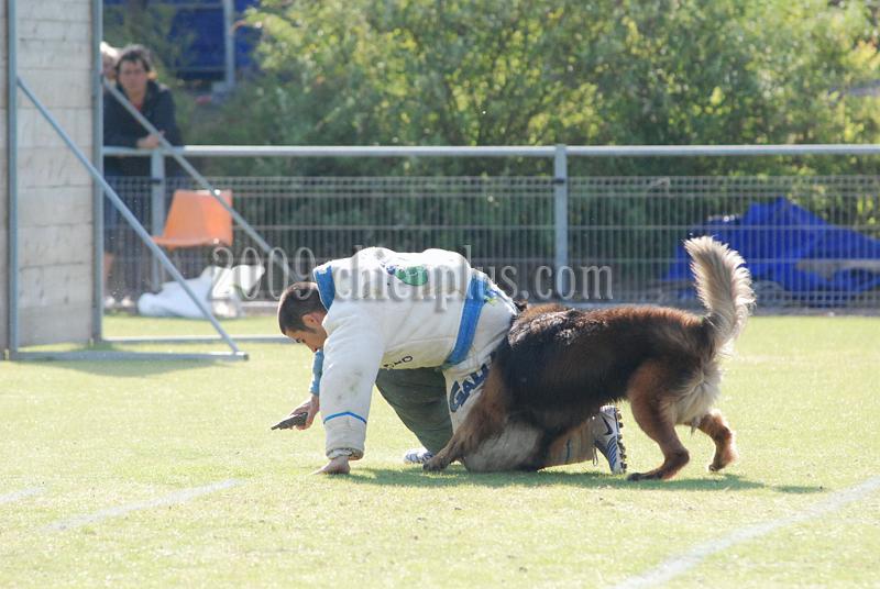 3 EME SELECTIF 2009 GRANDE SYNTHE 262.jpg